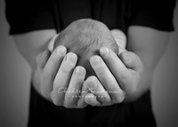 Calgary Newborn Photography