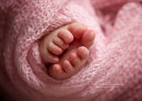 Calgary Newborn Photography