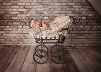 Calgary Newborn Photography